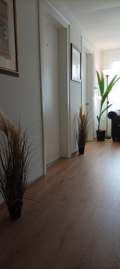 Ntn House Bed & Breakfast St. Gallen Bagian luar foto